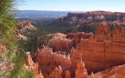 Every View is different and spectacular at Bryce Canyon National Park