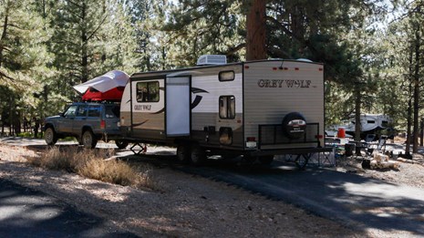 camping01