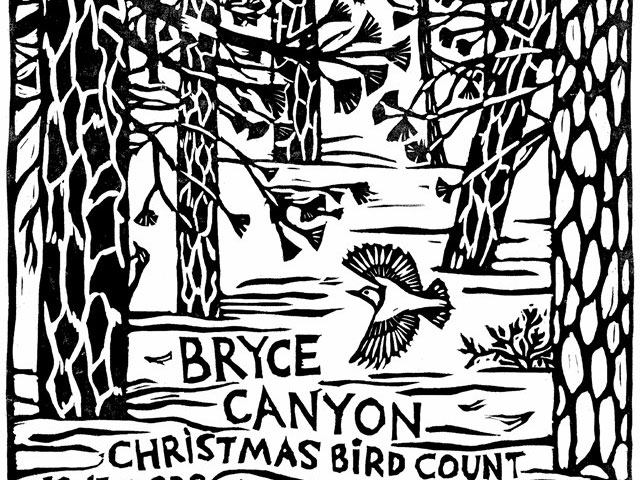 event-bird-count