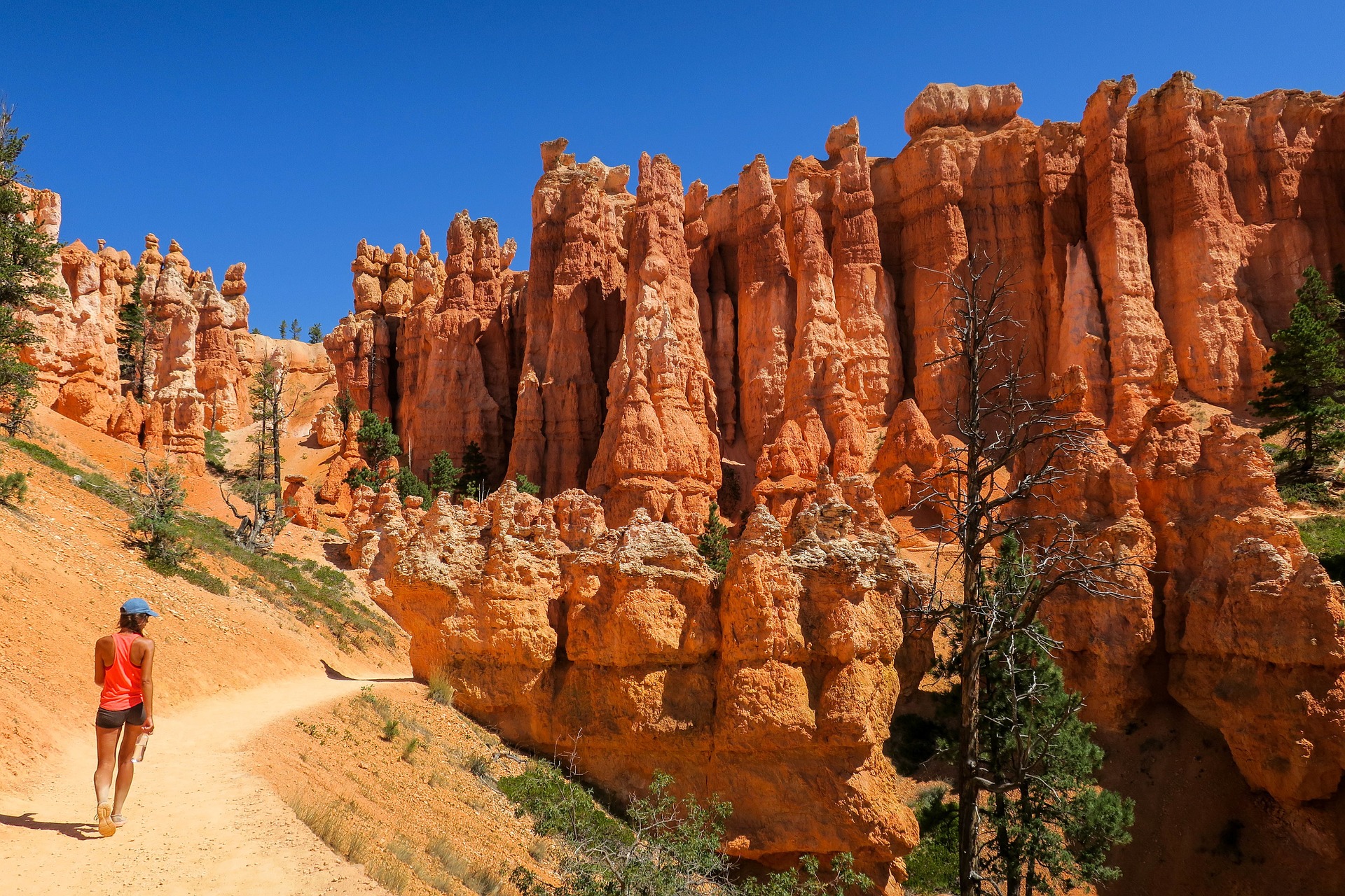 bryce14