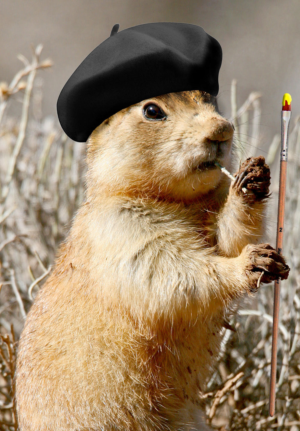 prariedog-hat